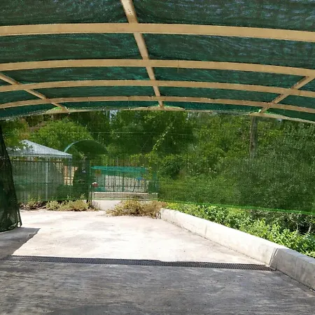 Apartament Fox's Sunshine *