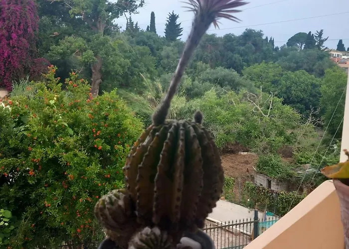 Fox's Sunshine Apartament