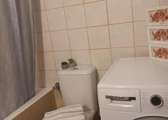 Fox's Sunshine Apartament *