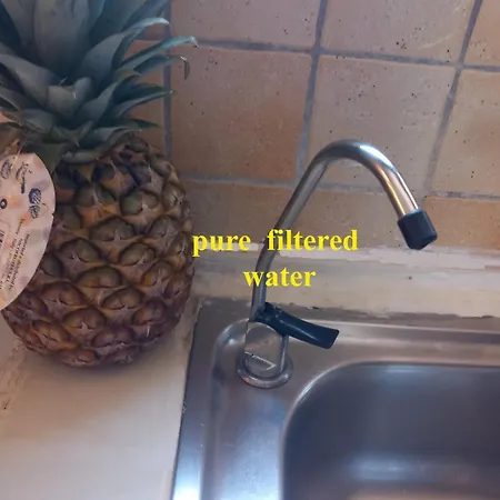 Lejlighed Fox's Sunshine *