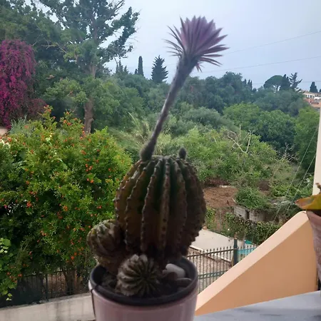 Fox's Sunshine Apartament