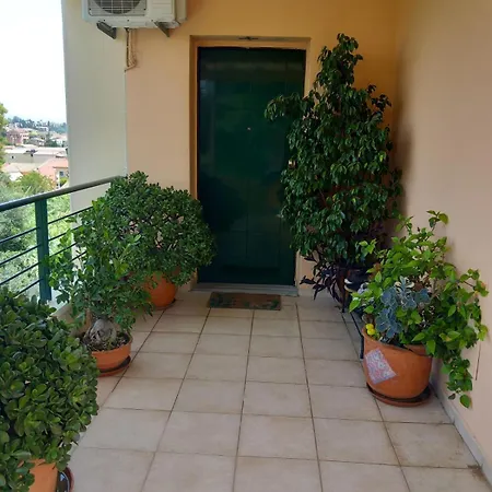 Fox's Sunshine Alepou